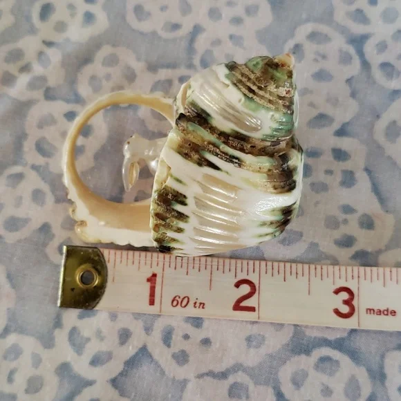 Carved Seashell with Rabbit - Picture 12 of 15